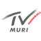 Logo TV Muri 2