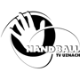 Logo HSG Linth-Obersee 2