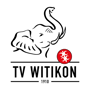 Logo SG TV Witikon